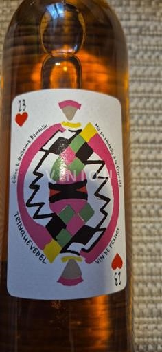 Rhône-dalen Côtes-du-Rhône Céline et Guillaume Depuydt Trinquevedel 2023