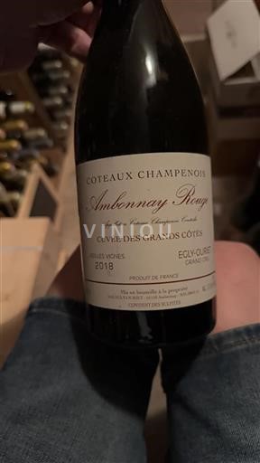 Šampanja Ni doloceno Grand Cru Egly-Ouriet Cuv%c3%a9e des Grands C%c3%b4tes 2018