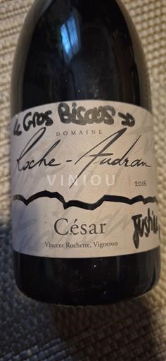 Rhônetal Côtes du Rhône Domaine Roche-Audran César 2016