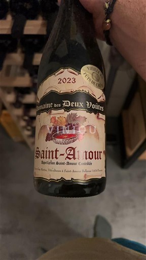 Beaujolais Saint-Amour Domaine Des Deux Voûtes 2023