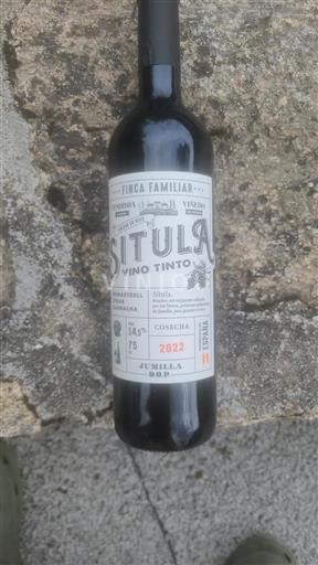 Castilien-La Mancha Jumilla Bodegas Olivares Finca Familiar Situla 2022