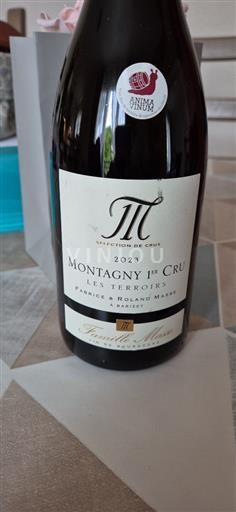 Burgundija Montagny Premier Cru Famille Masse Sélection de Crus Les Terroirs 2023
