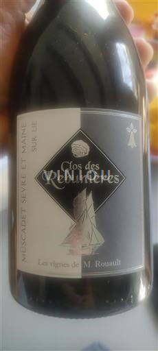 Loirevallei Muscadet-Sèvre-et-Maine Clos des Rebugnières Niet-geïntegreerd