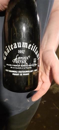 Loiredalen Châteaumeillant Lanoix Patrick 1992
