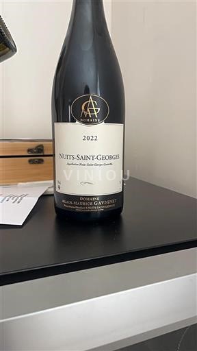Burgundi Nuits-saint-georges Domaine Alain-Maurice Gavignet 2022