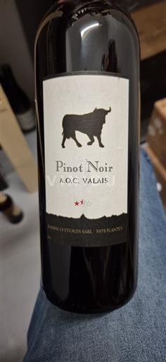 Valais Ikke specificeret Raisins 13 Etoiles SARL 2022