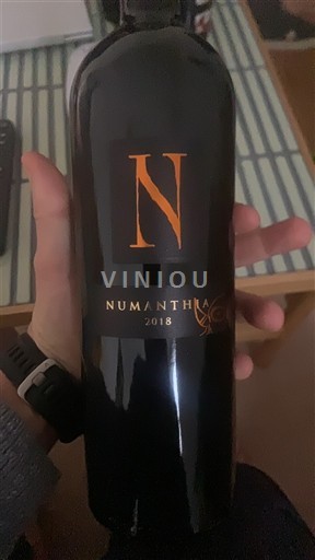 Castile and León Toro Numanthia 2018