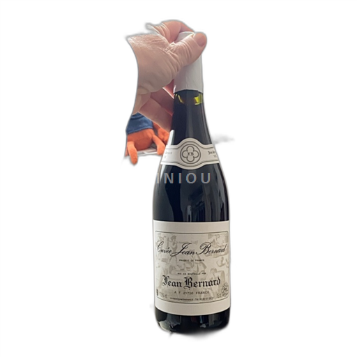 Borgonha Não especificado Premier Cru Jean Bernard 2021