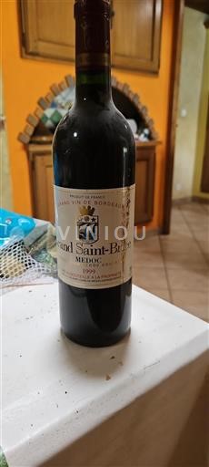 Bordeaux Médoc Grand Saint-Brice 1999