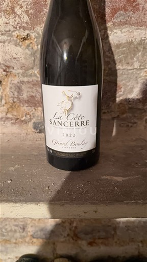 Valle del Loira Sancerre Gérard Boulay La Côte 2022