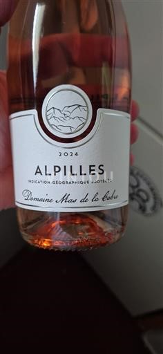 Alperna och Rhône-länderna Alpillerna Domaine Mas de la Cabre 2024