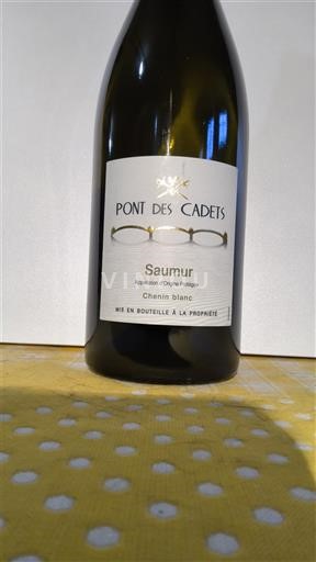 Valle del Loira Saumur Pont des Cadets Sin añada