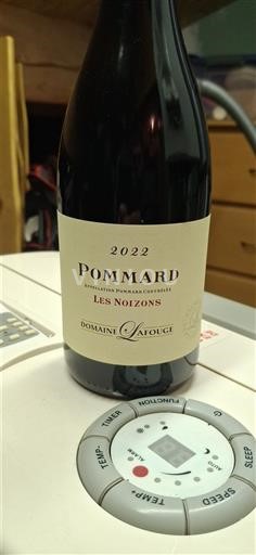 Borgoña Pommard Domaine Lafouge Les Noizons 2022