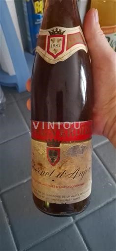 Valle della Loira Cabernet d'Anjou Pascal Verdier 1987