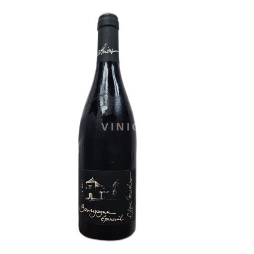 Borgogna Bourgogne Epineuil Domaine Alain Mathias 2020