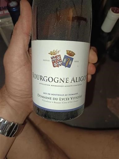 Burgundy Bourgogne Aligoté Domaine Lycée Viticole Non-Vintage