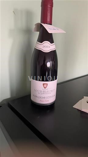 Burgundy Burgundy Côte d'Or Domaine Louis Fleurot 2023