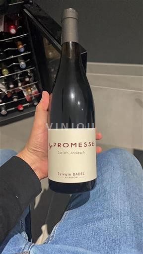 Valle del Rodano Saint-Joseph Sylvain Badel Promesse 2022