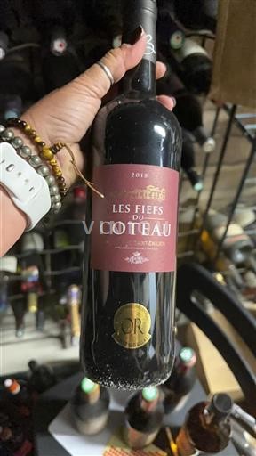 Bordeaux Montagne-Saint-Émilion Les Fiefs du Coteau 2018