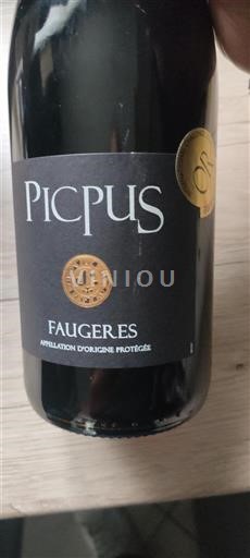 Languedoc Faugères Picpus Non Millésimé