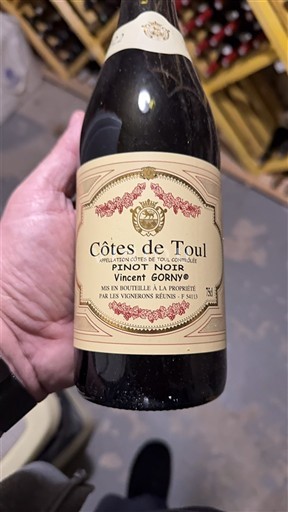 Lotharingen Côtes de Toul Vincent Gorny 2022