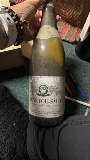 Loire Valley Menetou-Salon Clément 1988