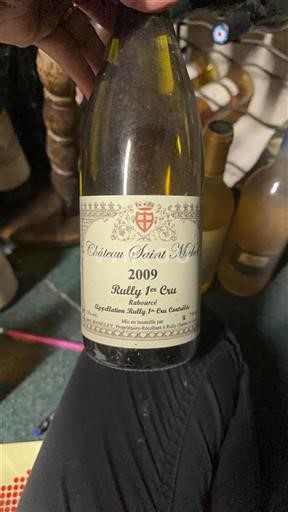 Bourgogne Premier Cru Saint Michel Rabourc%c3%a9 2009