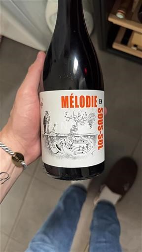 Thung lũng sông Loire Touraine Domaine La Bohème Mélodie en Sous-Sol 2022
