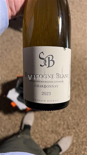 Bourgogne Sylvain Bzikot 2023