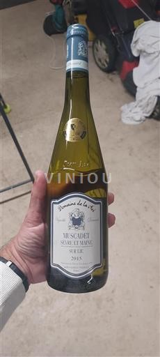 Valle del Loira Muscadet-sèvre-et-maine Domaine La Noë 2015