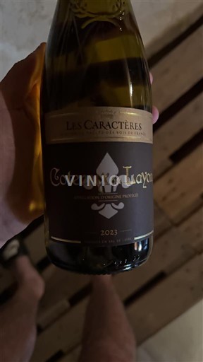 Thung lũng sông Loire Coteaux-du-layon Les Caractères 2023