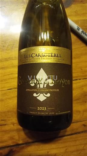 Thung lũng sông Loire Coteaux-du-layon Les Caractères 2023