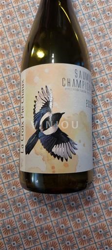 Valle della Loira Saumur-Champigny La Croix Pie Chaux 2022