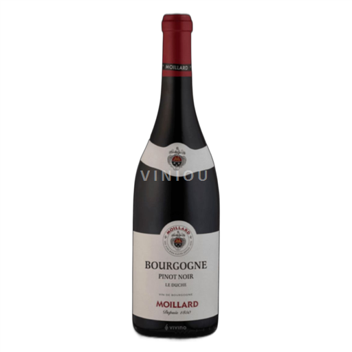 Burgundy Moillard Le Duché Non-Vintage