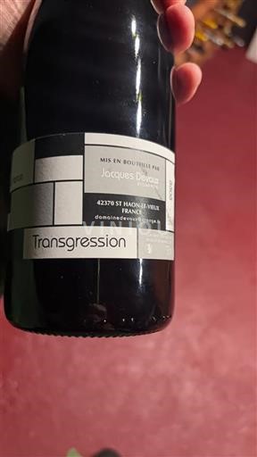 Loire-dalen Ikke specificeret Domaine Jacques Devaux Transgression 2020