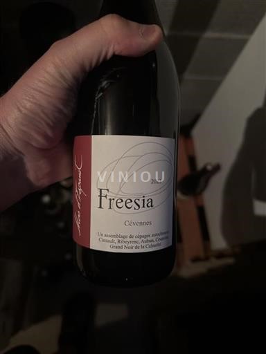 Languedoc-Roussillon Cévennes Freesia 2023