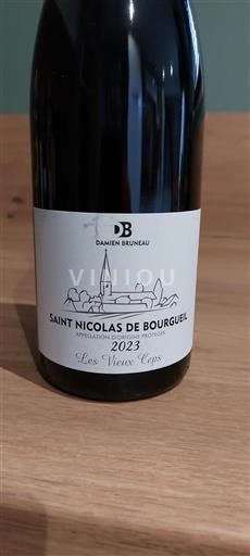 Valle della Loira Saint-Nicolas-De-Bourgueil Damien Bruneau Les Vieux Ceps 2023
