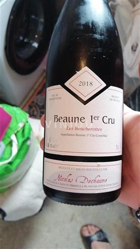 Bourgogne Premier Cru Nicolas Dechaume Les Boucherottes 2018