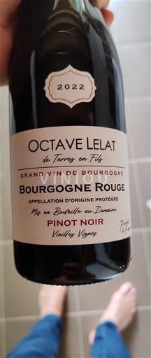 Bourgogne Octave Lelat Vieilles Vignes 2022