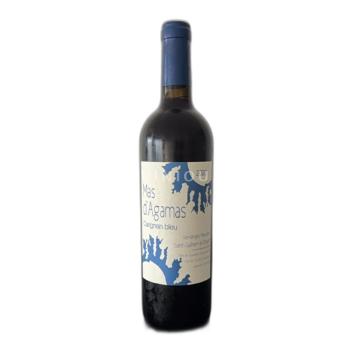 Languedoc-Roussillon Saint-Guilhem-le-Désert Mas Agamas Carignan bleu 2022
