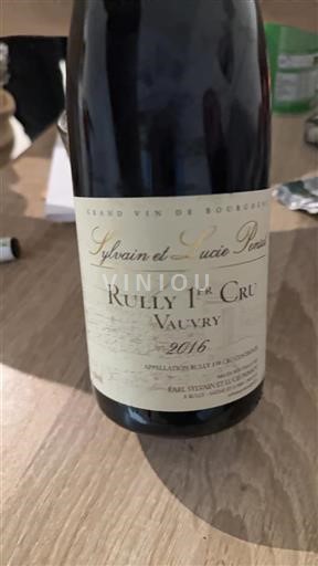 Bourgogne Ikke specificeret Premier Cru Sylvain et Lucie Parisot Vauvry 2016
