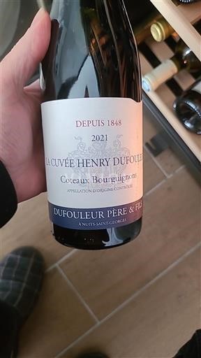 Bourgogne Bourgogne skråninger Dufouleur Père & Fils La Henry Dufouleur 2021