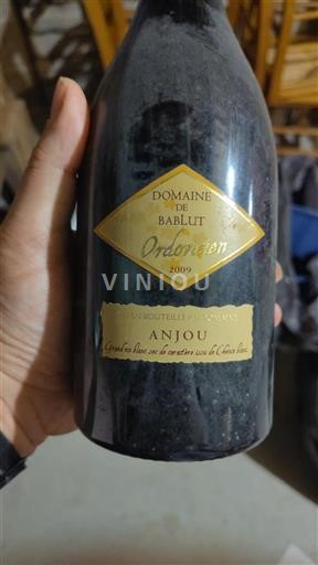 Thung lũng sông Loire Anjou Domaine Bablut Ordovicien 2009