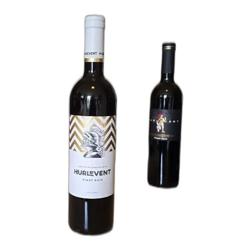 Vin Rouge sec Hurlevent Les fils de Charles Favre 2022 Suisse Valais AOC
