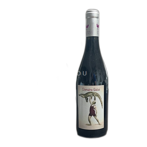 Rhône-dalen Domaine Galus 2022
