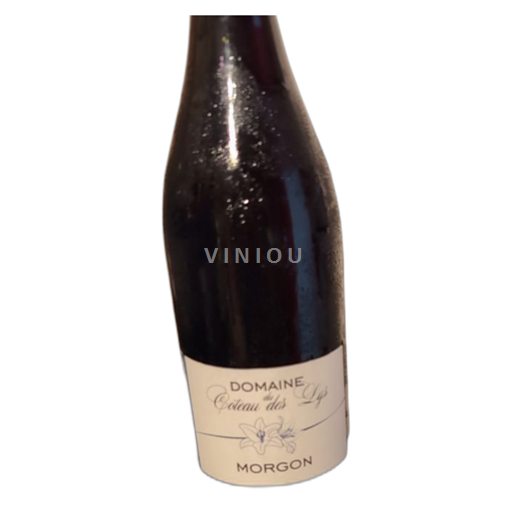 Vin Rouge sec Domaine Coteau des Lys 2022 France Beaujolais Morgon AOC