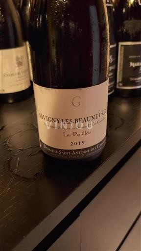 Bourgogne Ikke specificeret Premier Cru Domaine Saint-Antoine des Écharlis Les Peuillets 2019