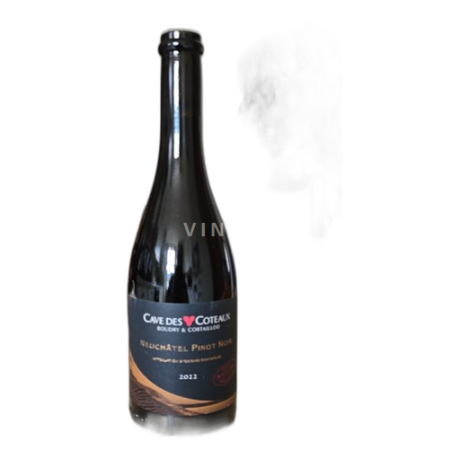 Vin Rouge sec Cave des Coteaux Boudry & Cortaillod 2022 Suisse Neuchâtel Neuchâtel AOC AOC