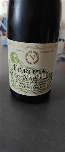 Borgoña No especificado Premier Cru Domaine Pierre Gelin Clos Napoléon 2018