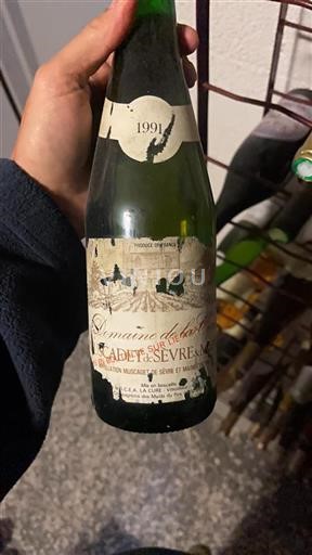 Loirevallei Muscadet-Sèvre-et-Maine Domaine La Cure 1991